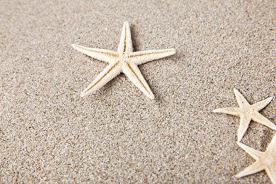 双杀手降临《黎明杀机》全新2v8玩法限时开放